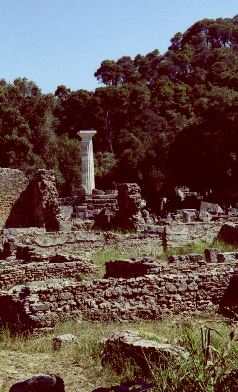 Olympia, cross process technique